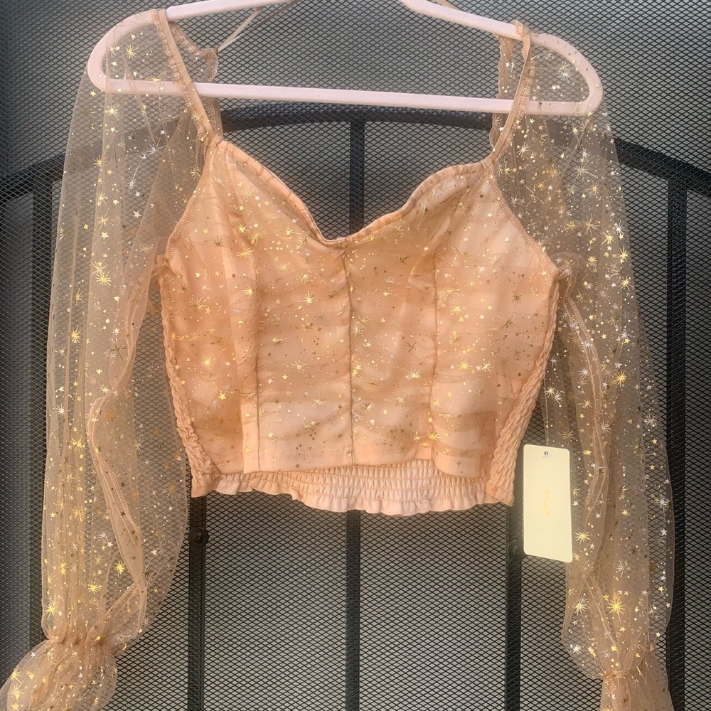 Shimmery sheer flirty crop top with lace sleeves